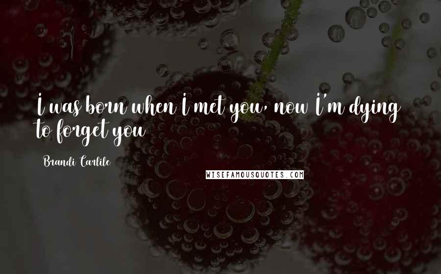 Brandi Carlile Quotes: I was born when I met you, now I'm dying to forget you