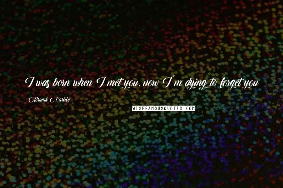 Brandi Carlile Quotes: I was born when I met you, now I'm dying to forget you