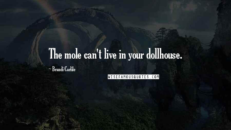 Brandi Carlile Quotes: The mole can't live in your dollhouse.