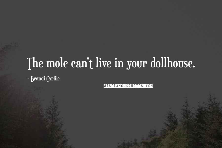 Brandi Carlile Quotes: The mole can't live in your dollhouse.