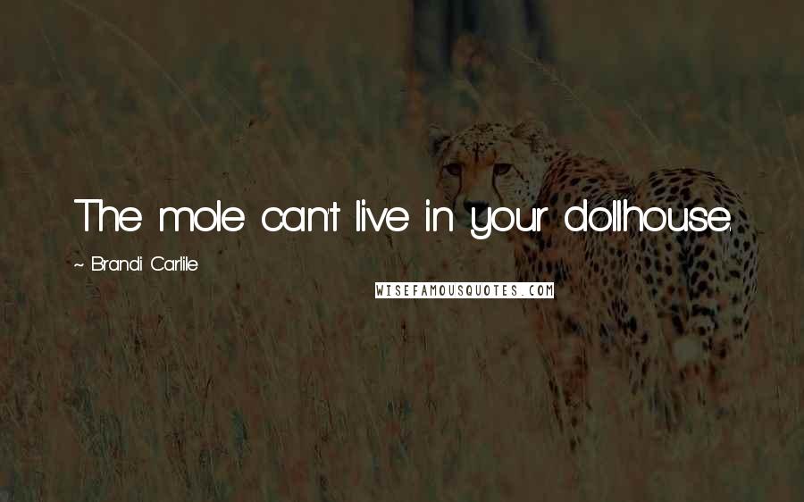 Brandi Carlile Quotes: The mole can't live in your dollhouse.