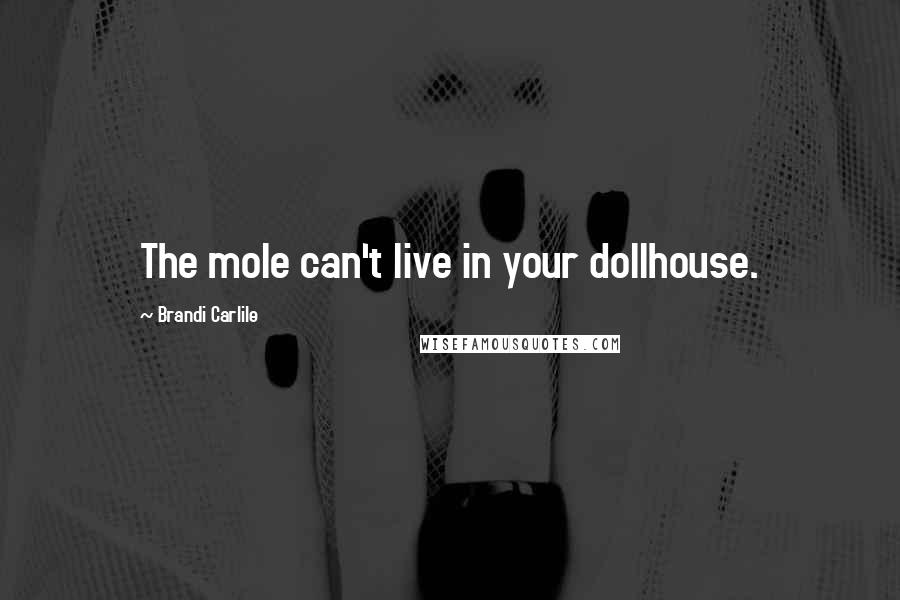 Brandi Carlile Quotes: The mole can't live in your dollhouse.