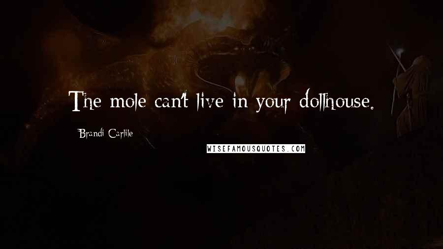 Brandi Carlile Quotes: The mole can't live in your dollhouse.