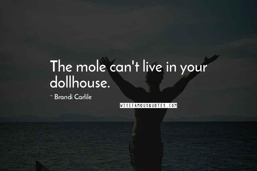 Brandi Carlile Quotes: The mole can't live in your dollhouse.