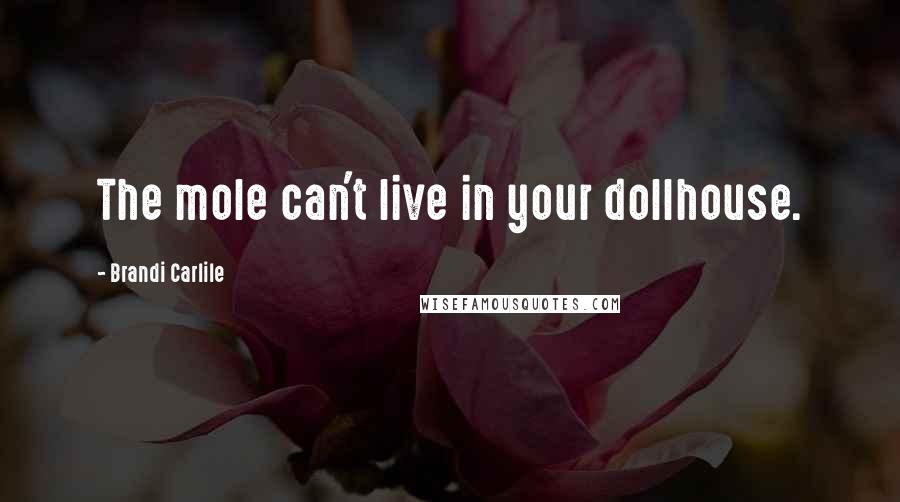 Brandi Carlile Quotes: The mole can't live in your dollhouse.