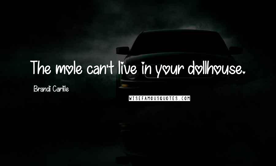 Brandi Carlile Quotes: The mole can't live in your dollhouse.