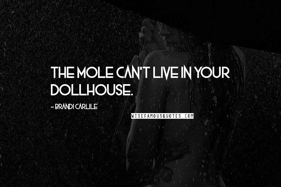 Brandi Carlile Quotes: The mole can't live in your dollhouse.