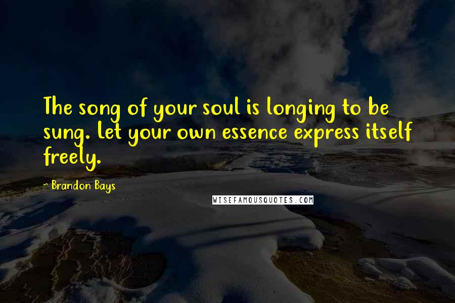 Brandon Bays Quotes: The song of your soul is longing to be sung. Let your own essence express itself freely.
