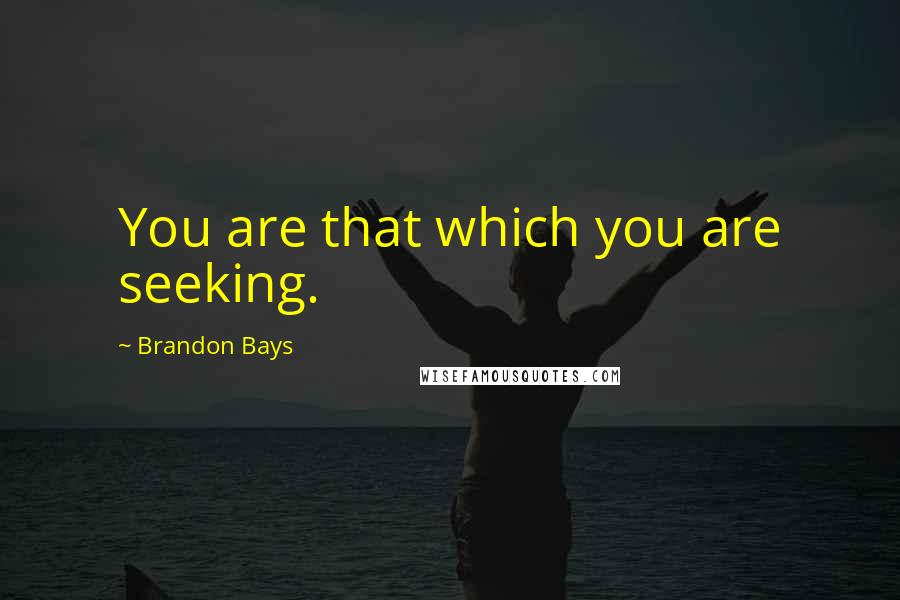 Brandon Bays Quotes: You are that which you are seeking.