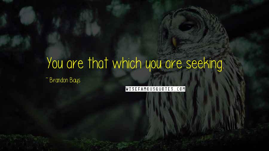 Brandon Bays Quotes: You are that which you are seeking.