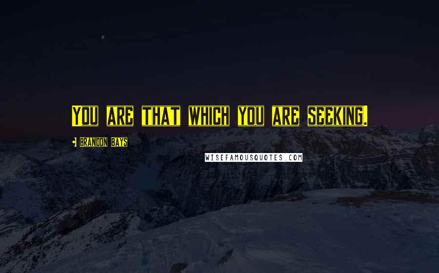 Brandon Bays Quotes: You are that which you are seeking.