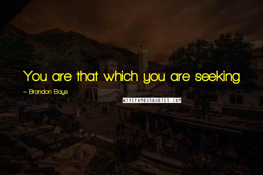 Brandon Bays Quotes: You are that which you are seeking.
