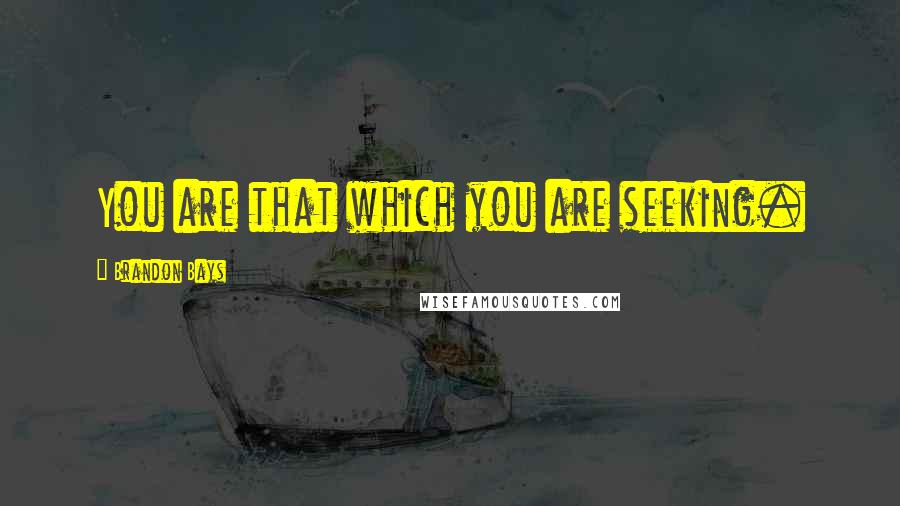 Brandon Bays Quotes: You are that which you are seeking.