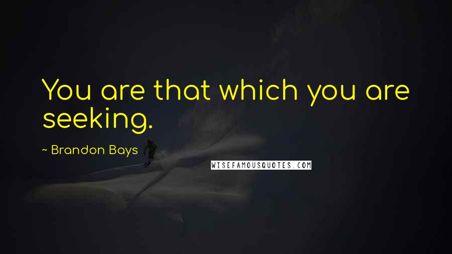 Brandon Bays Quotes: You are that which you are seeking.