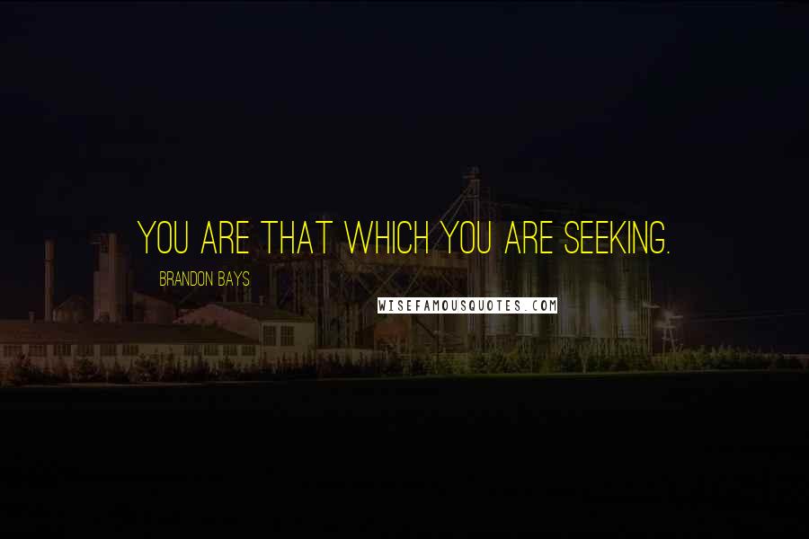 Brandon Bays Quotes: You are that which you are seeking.