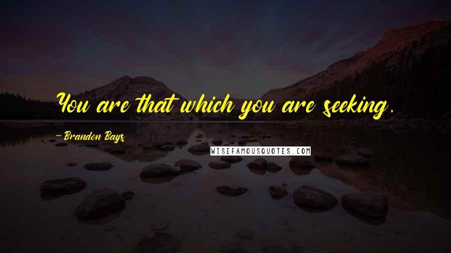 Brandon Bays Quotes: You are that which you are seeking.