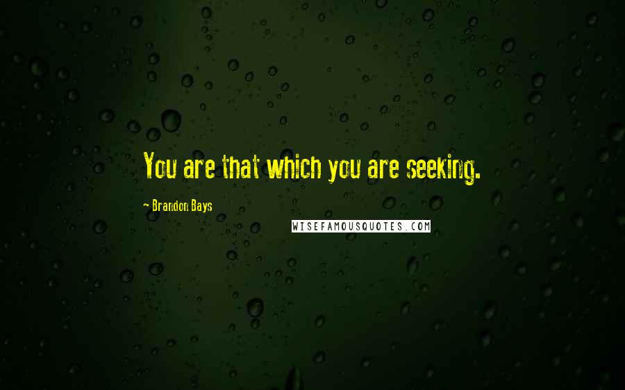 Brandon Bays Quotes: You are that which you are seeking.