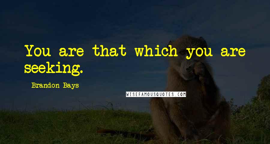 Brandon Bays Quotes: You are that which you are seeking.