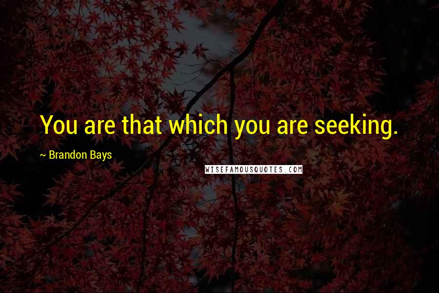 Brandon Bays Quotes: You are that which you are seeking.