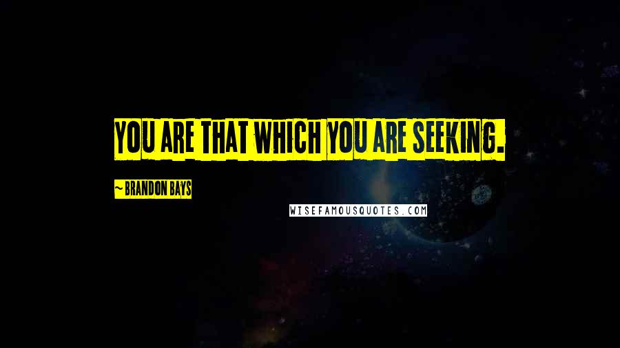 Brandon Bays Quotes: You are that which you are seeking.