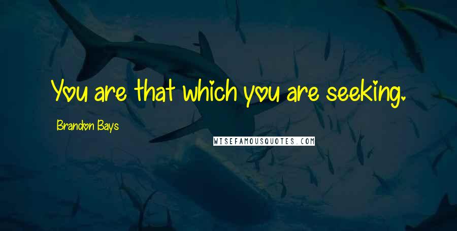 Brandon Bays Quotes: You are that which you are seeking.