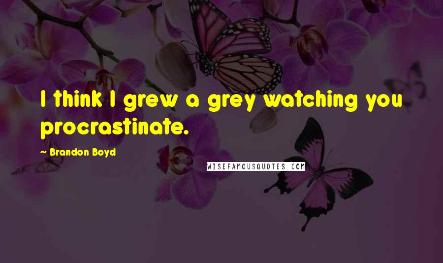 Brandon Boyd Quotes: I think I grew a grey watching you procrastinate.