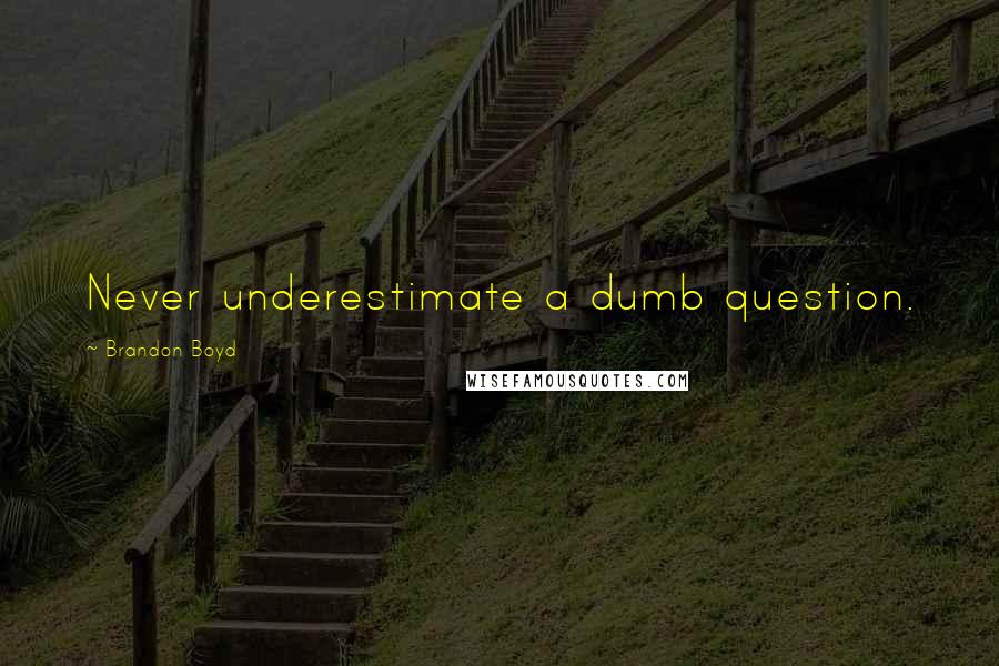 Brandon Boyd Quotes: Never underestimate a dumb question.