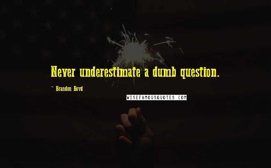 Brandon Boyd Quotes: Never underestimate a dumb question.