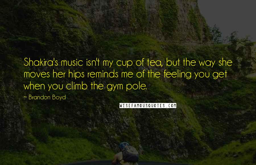 Brandon Boyd Quotes: Shakira's music isn't my cup of tea, but the way she moves her hips reminds me of the feeling you get when you climb the gym pole.