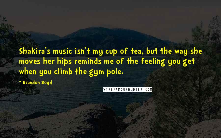 Brandon Boyd Quotes: Shakira's music isn't my cup of tea, but the way she moves her hips reminds me of the feeling you get when you climb the gym pole.