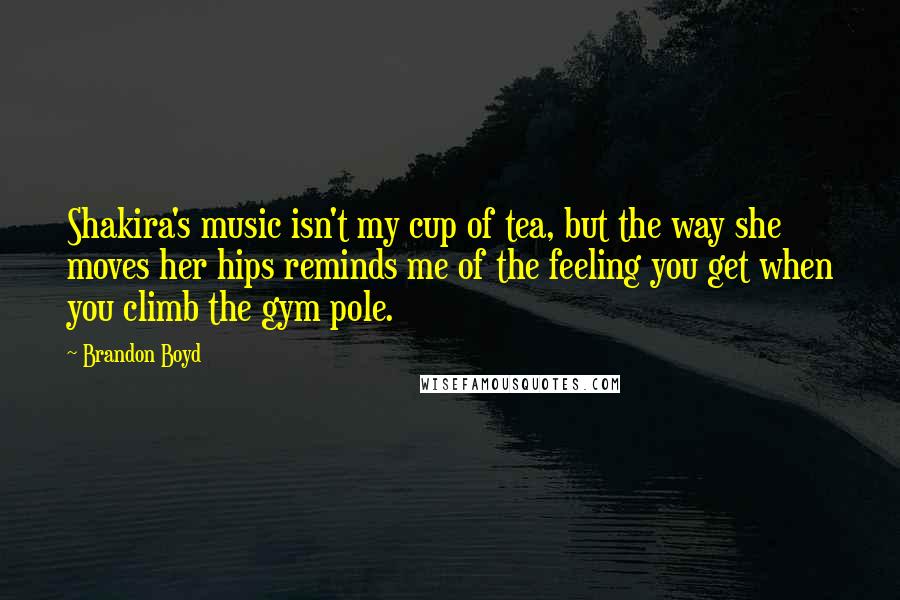 Brandon Boyd Quotes: Shakira's music isn't my cup of tea, but the way she moves her hips reminds me of the feeling you get when you climb the gym pole.