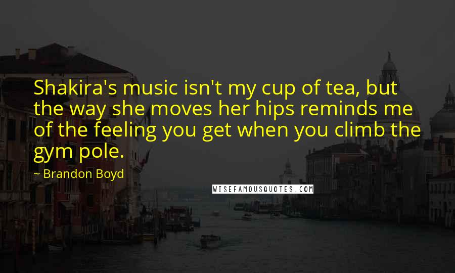 Brandon Boyd Quotes: Shakira's music isn't my cup of tea, but the way she moves her hips reminds me of the feeling you get when you climb the gym pole.