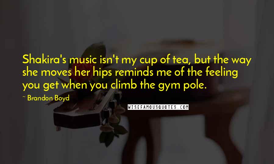 Brandon Boyd Quotes: Shakira's music isn't my cup of tea, but the way she moves her hips reminds me of the feeling you get when you climb the gym pole.