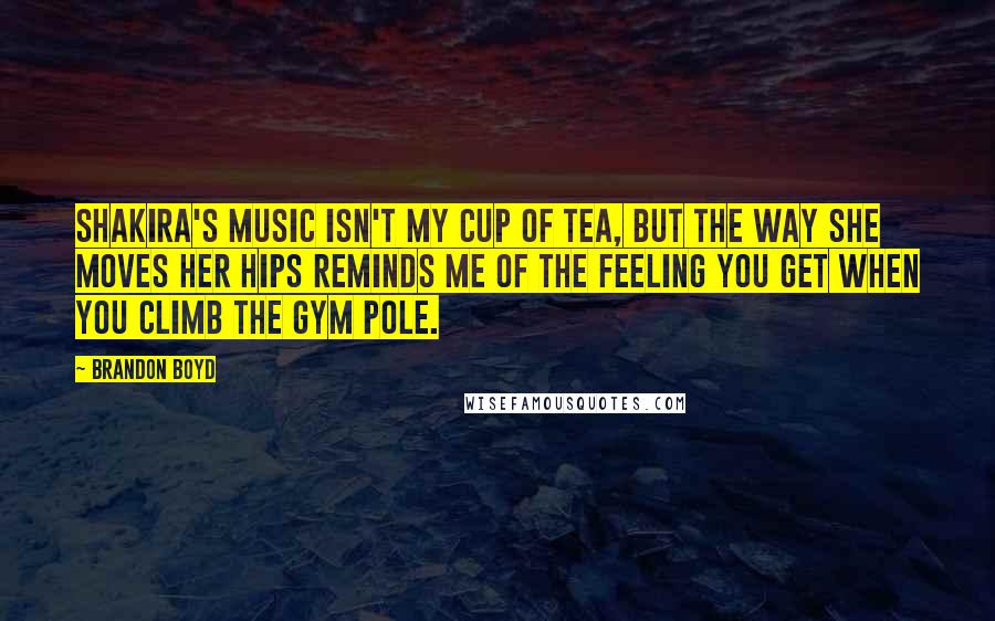 Brandon Boyd Quotes: Shakira's music isn't my cup of tea, but the way she moves her hips reminds me of the feeling you get when you climb the gym pole.