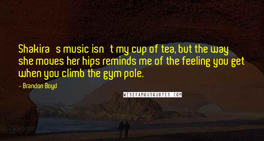 Brandon Boyd Quotes: Shakira's music isn't my cup of tea, but the way she moves her hips reminds me of the feeling you get when you climb the gym pole.