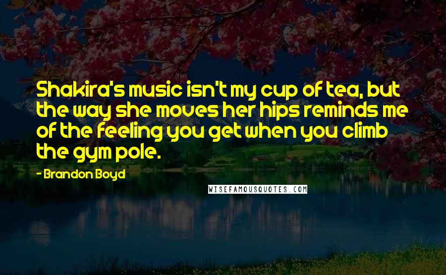 Brandon Boyd Quotes: Shakira's music isn't my cup of tea, but the way she moves her hips reminds me of the feeling you get when you climb the gym pole.