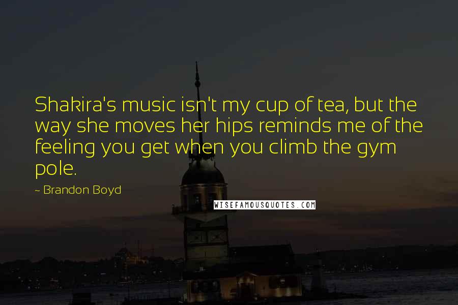 Brandon Boyd Quotes: Shakira's music isn't my cup of tea, but the way she moves her hips reminds me of the feeling you get when you climb the gym pole.