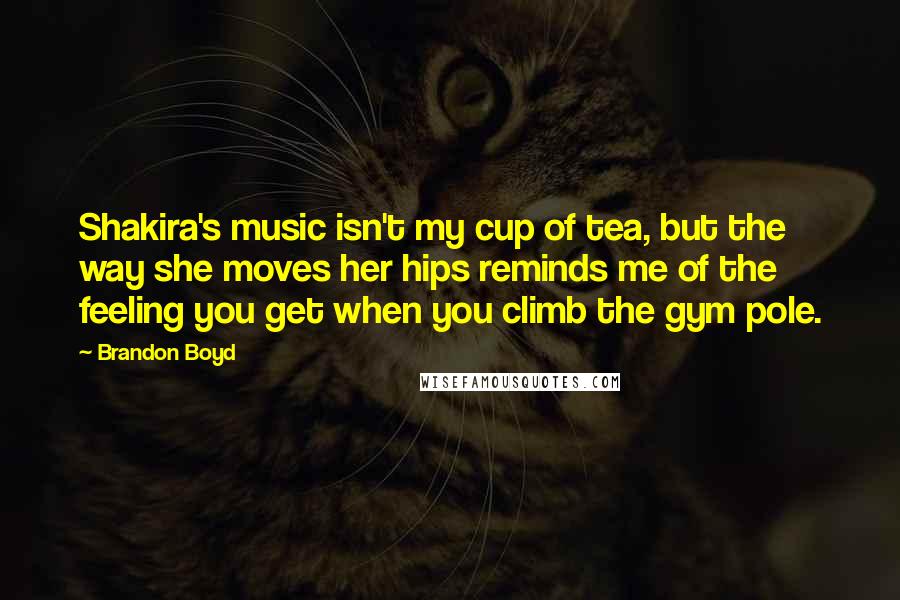 Brandon Boyd Quotes: Shakira's music isn't my cup of tea, but the way she moves her hips reminds me of the feeling you get when you climb the gym pole.