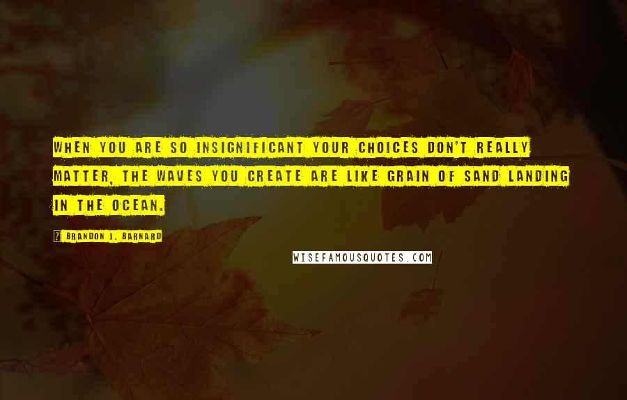 Brandon J. Barnard Quotes: When you are so insignificant your choices don't really matter, the waves you create are like grain of sand landing in the ocean.
