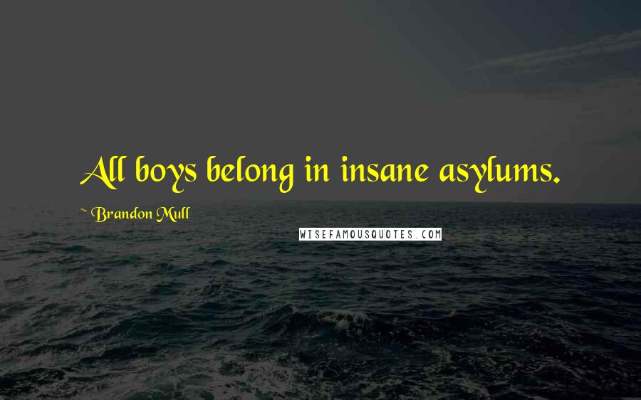 Brandon Mull Quotes: All boys belong in insane asylums.