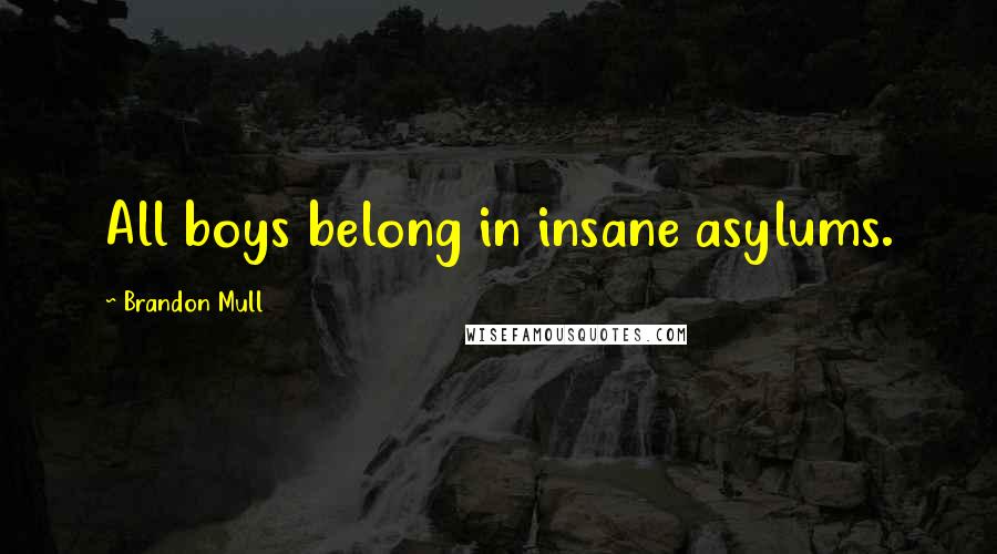 Brandon Mull Quotes: All boys belong in insane asylums.