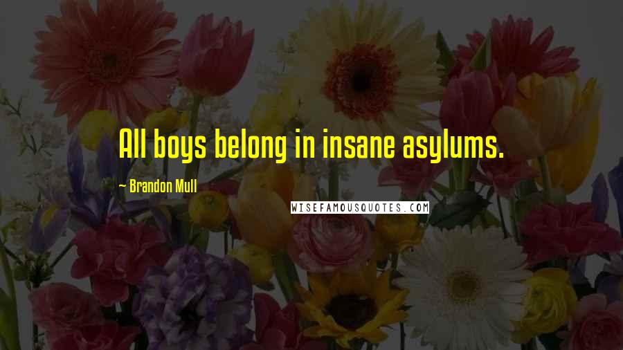 Brandon Mull Quotes: All boys belong in insane asylums.