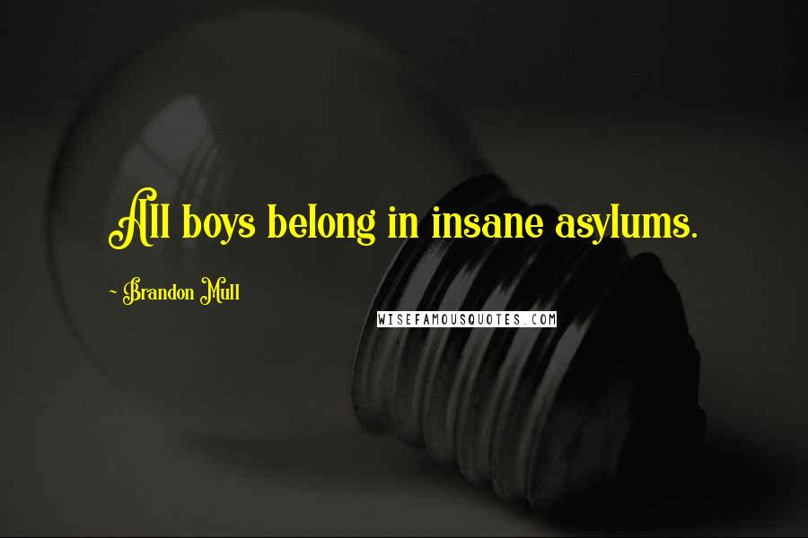 Brandon Mull Quotes: All boys belong in insane asylums.