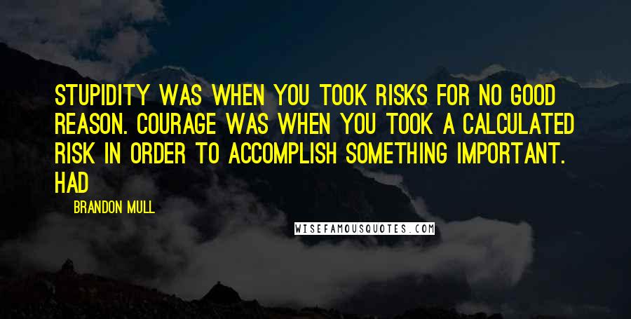 Brandon Mull Quotes: Stupidity was when you took risks for no good reason. Courage was when you took a calculated risk in order to accomplish something important. Had