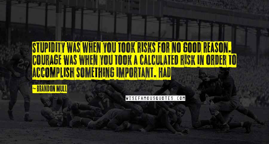 Brandon Mull Quotes: Stupidity was when you took risks for no good reason. Courage was when you took a calculated risk in order to accomplish something important. Had