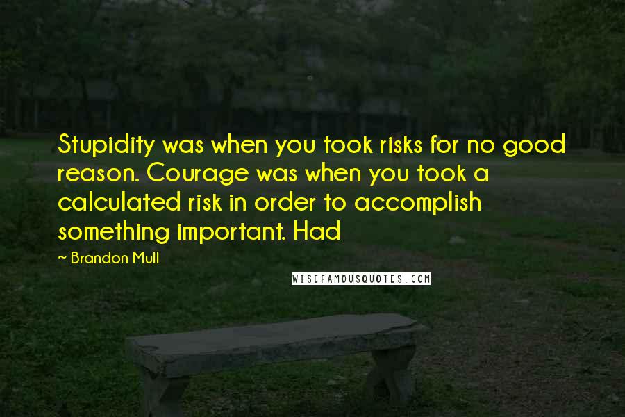 Brandon Mull Quotes: Stupidity was when you took risks for no good reason. Courage was when you took a calculated risk in order to accomplish something important. Had