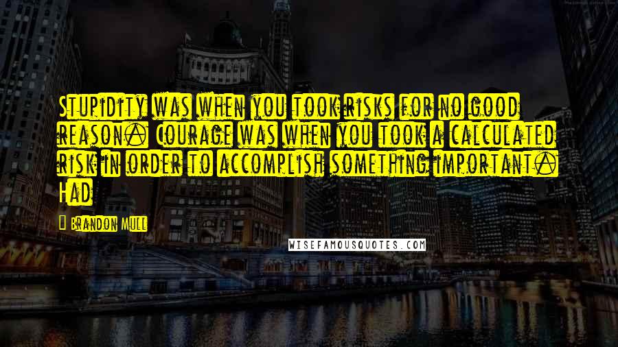 Brandon Mull Quotes: Stupidity was when you took risks for no good reason. Courage was when you took a calculated risk in order to accomplish something important. Had