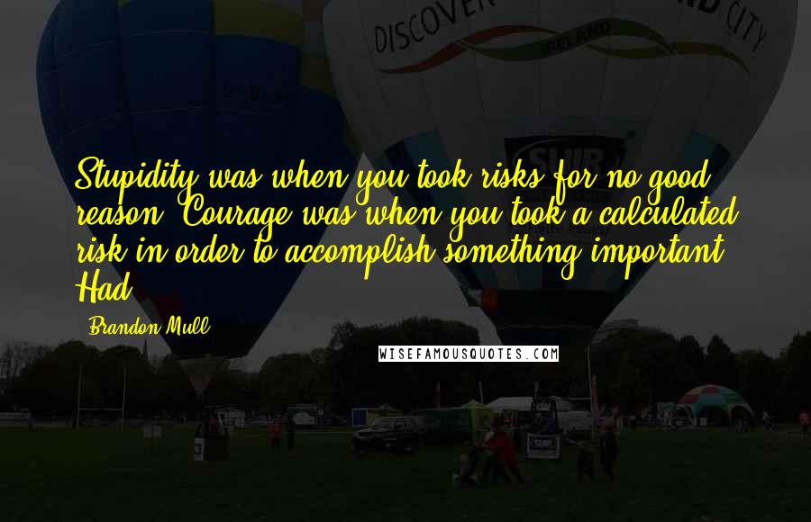 Brandon Mull Quotes: Stupidity was when you took risks for no good reason. Courage was when you took a calculated risk in order to accomplish something important. Had