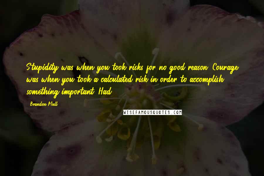 Brandon Mull Quotes: Stupidity was when you took risks for no good reason. Courage was when you took a calculated risk in order to accomplish something important. Had