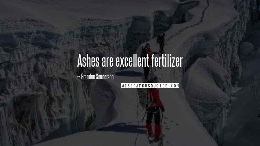 Brandon Sanderson Quotes: Ashes are excellent fertilizer